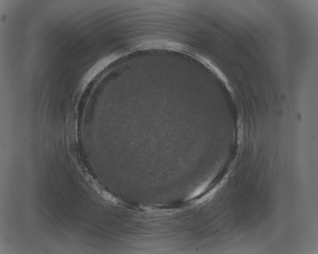 X0000081440877200701121203