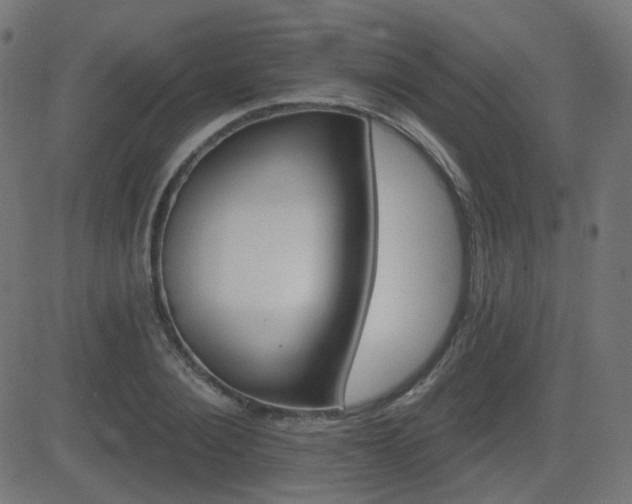 X0000081440884200701121203