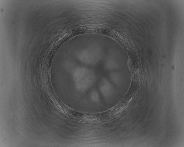 X0000081440913200701121202
