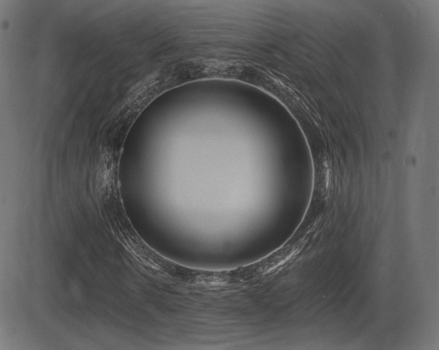 X0000081440914200701121202