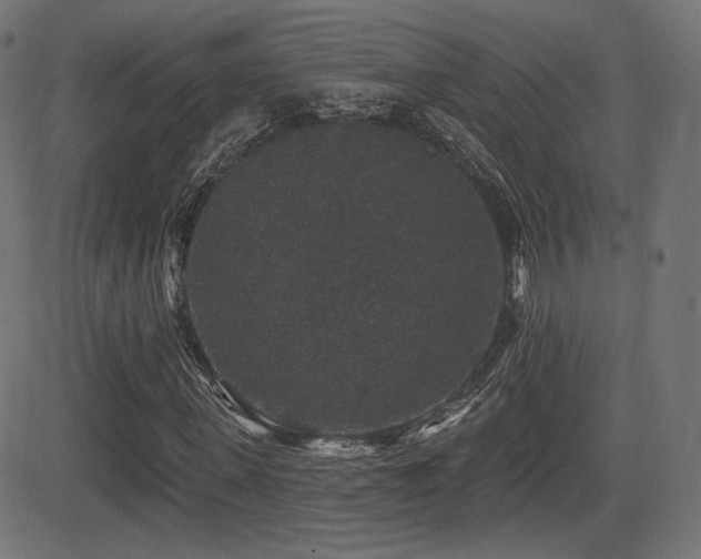 X0000081440915200701121202