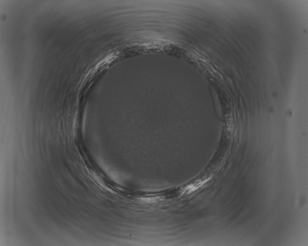 X0000081440916200701121202