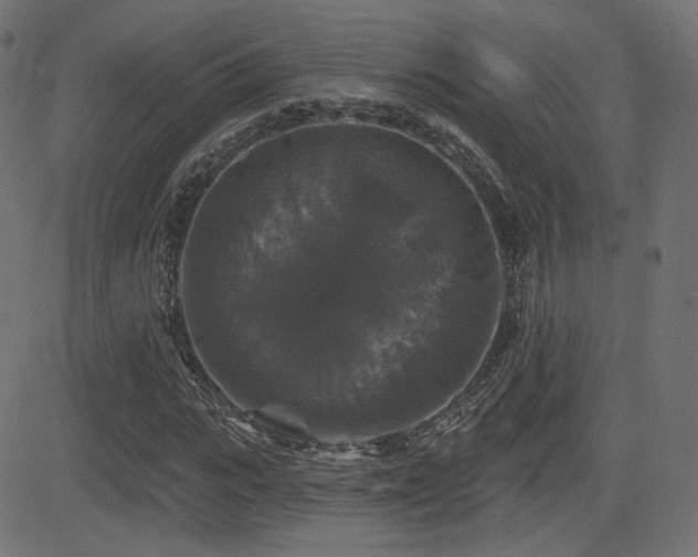X0000081440919200701121202
