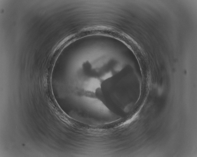 X0000081440921200701121202