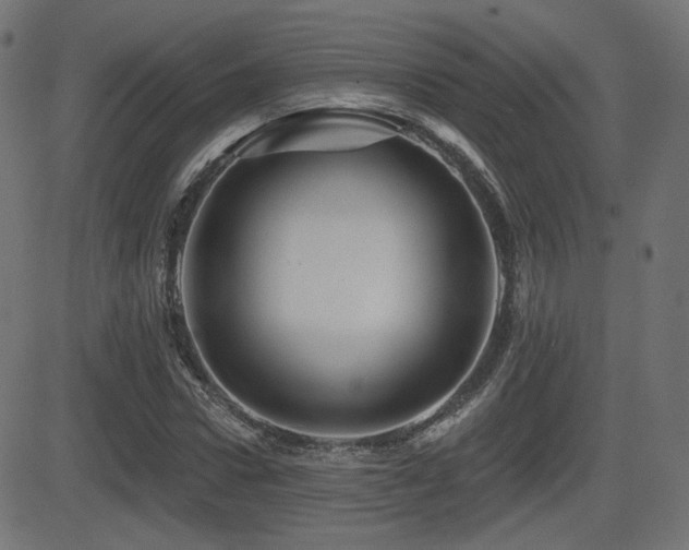 X0000081440922200701121202