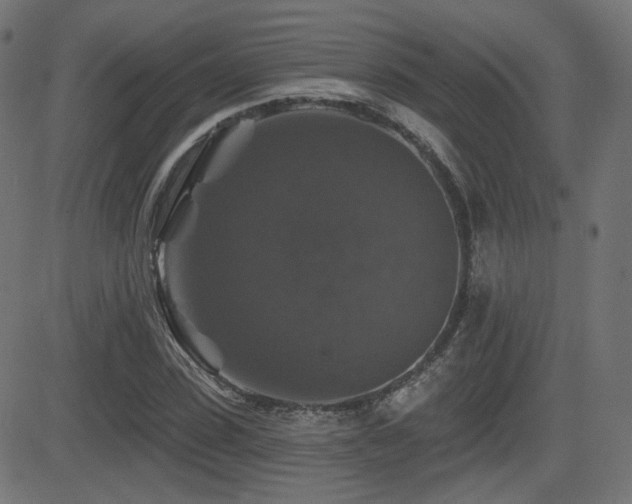 X0000081440923200701121202