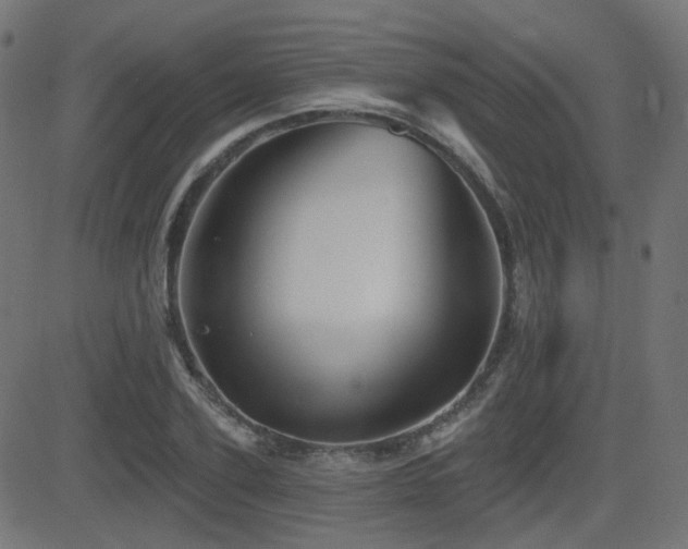 X0000081440931200701121202