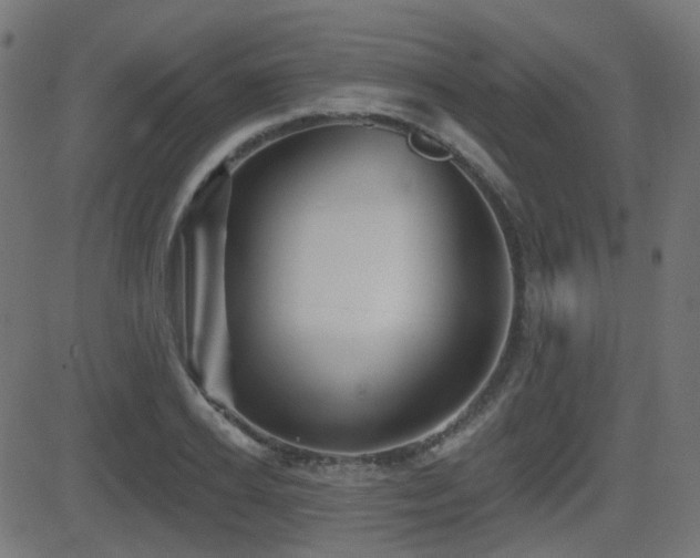 X0000081440934200701121202