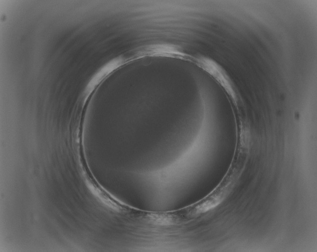 X0000081440954200701121202