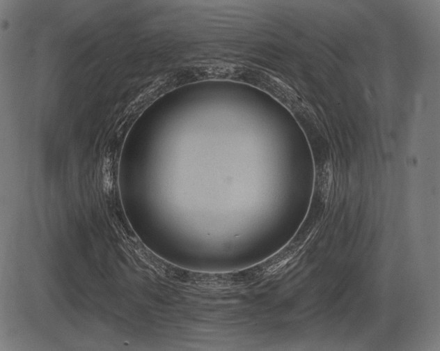 X0000081440962200701121202