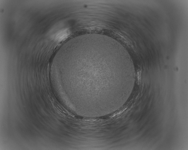 X0000081440963200701121202