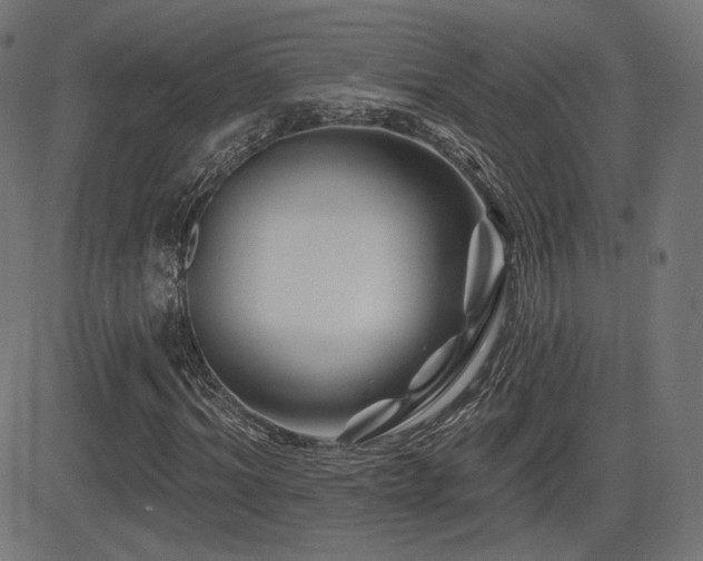 X0000081440964200701121202