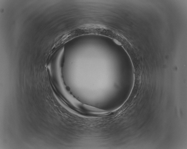 X0000081440965200701121202