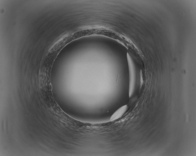X0000081440967200701121202