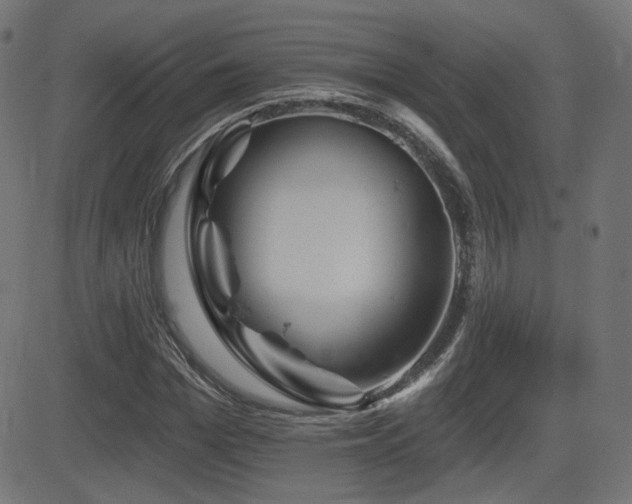 X0000081440969200701121202