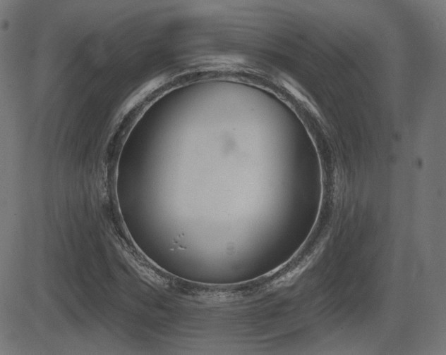 X0000081440970200701121202