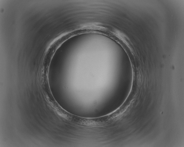 X0000081440971200701121202