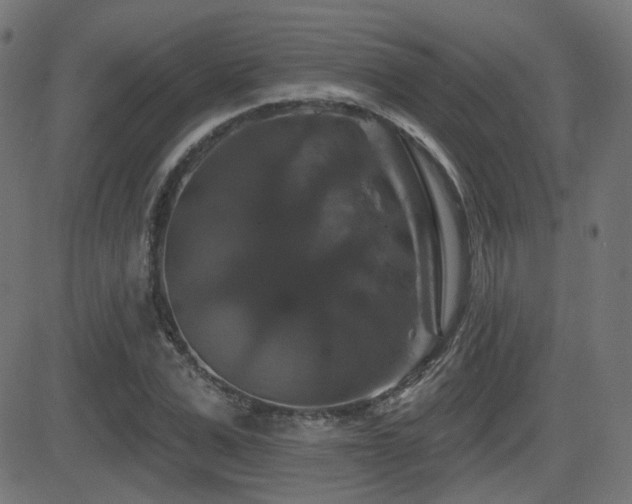 X0000081440975200701121202