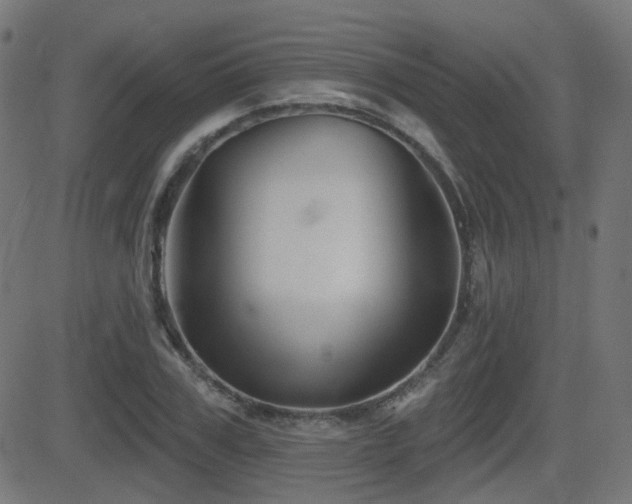 X0000081440979200701121201