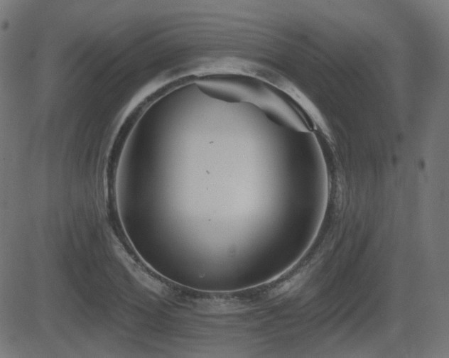 X0000081440980200701121201