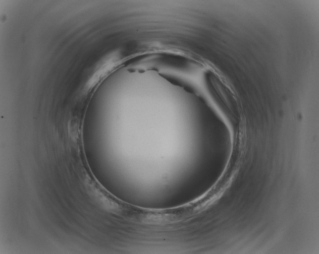 X0000081440985200701121201