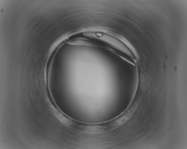 X0000081440988200701121201