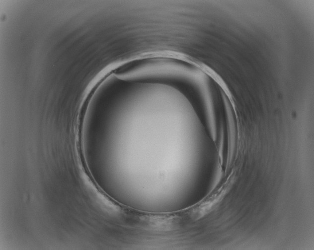 X0000081441005200701121201