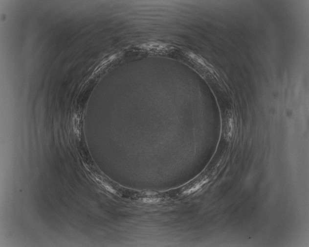 X0000081441010200701121200