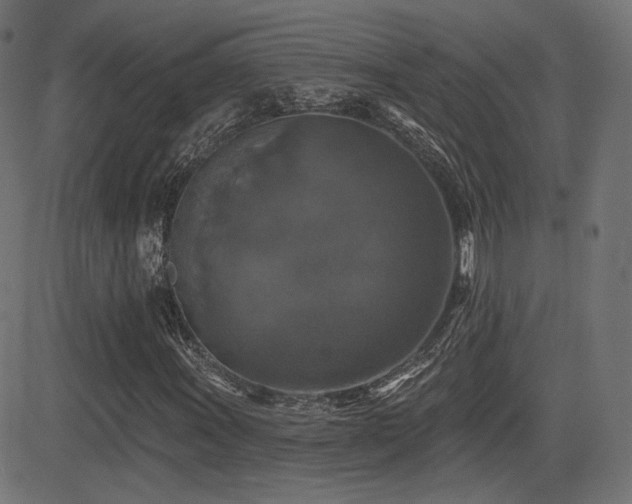 X0000081441011200701121200