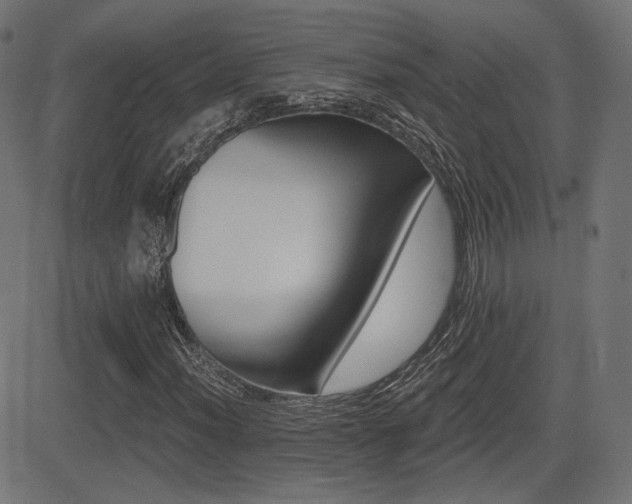 X0000081441012200701121200
