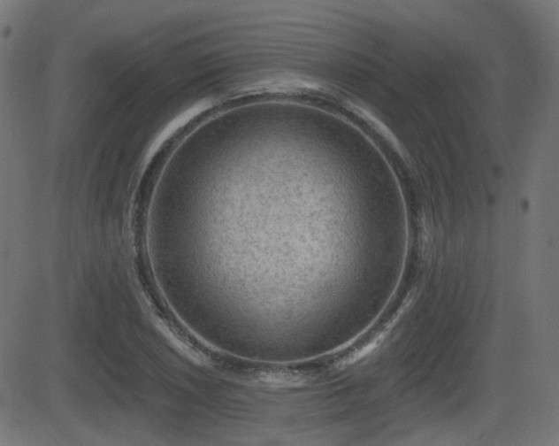 X0000081441026200701121201