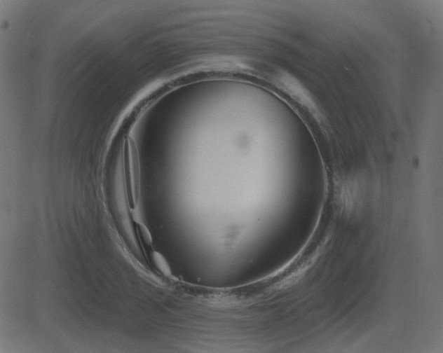 X0000081441029200701121201