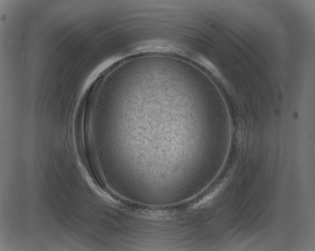 X0000081441030200701121201