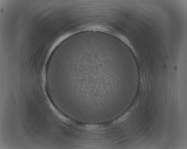X0000081441032200701121201