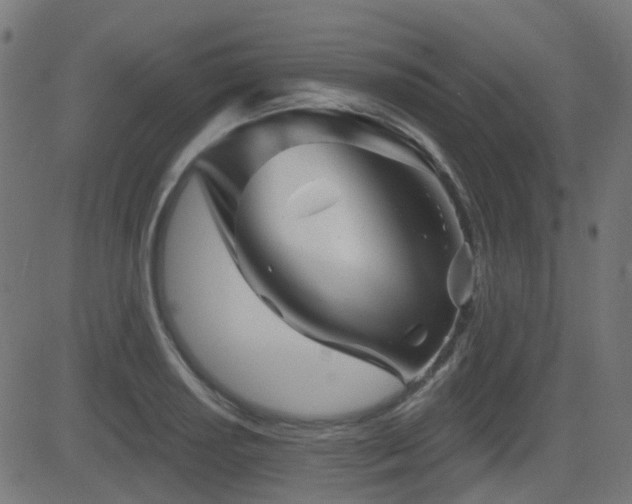 X0000081441034200701121201
