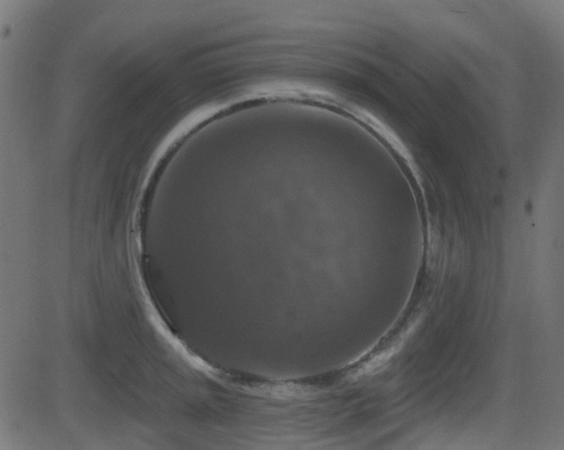 X0000081441045200701121201