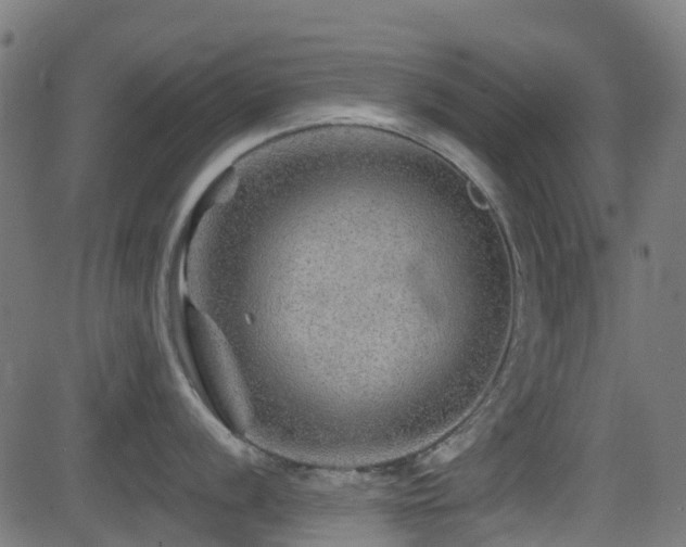 X0000081441056200701121201