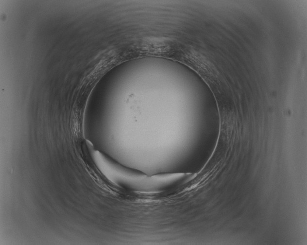 X0000081441058200701121200