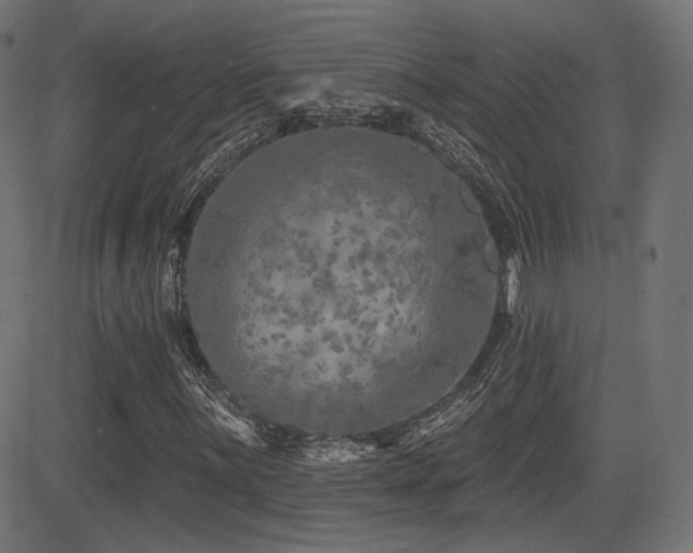 X0000081441059200701121200