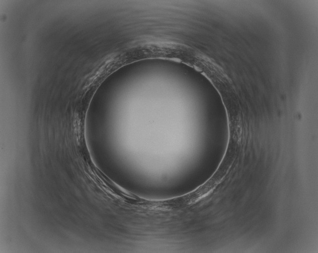 X0000081441061200701121200