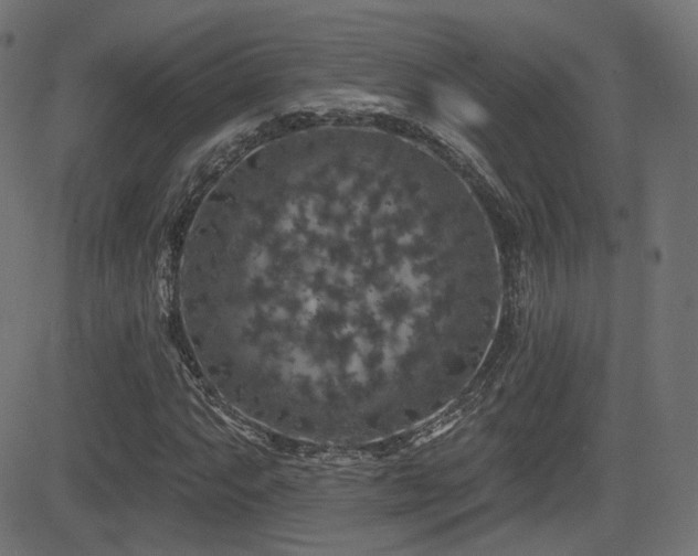 X0000081441063200701121200