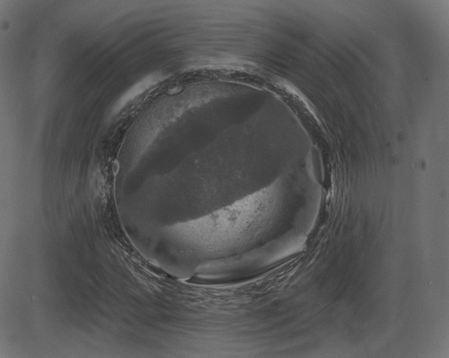 X0000081441064200701121200