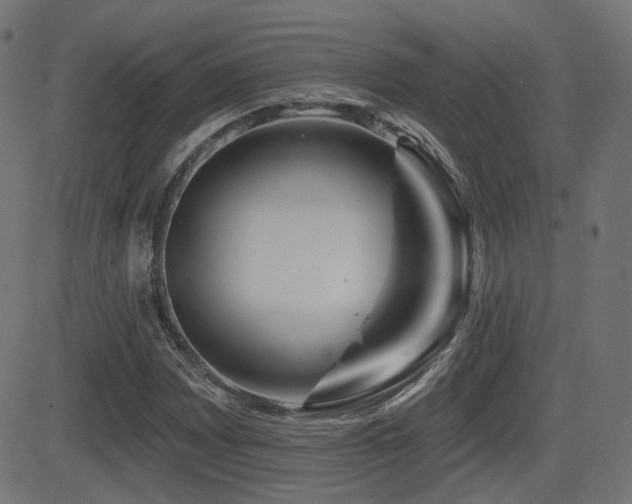 X0000081441065200701121200