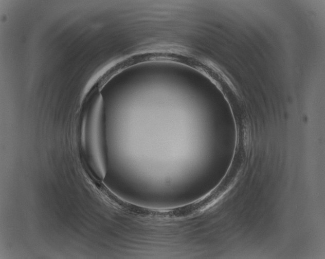 X0000081441069200701121200