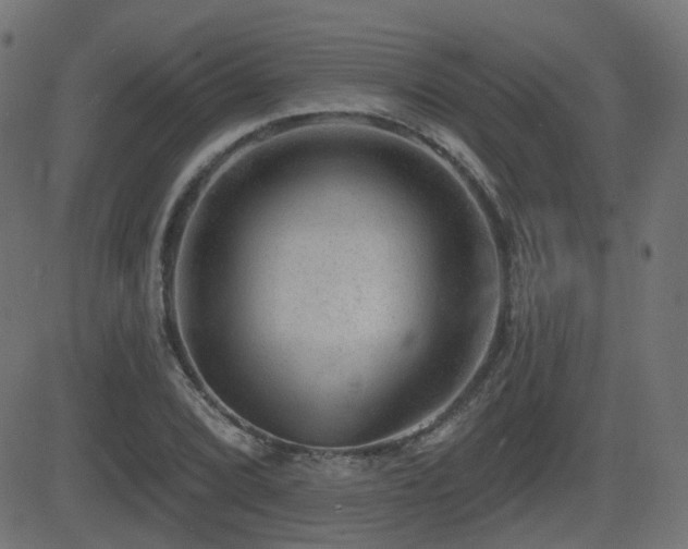 X0000081441072200701121200