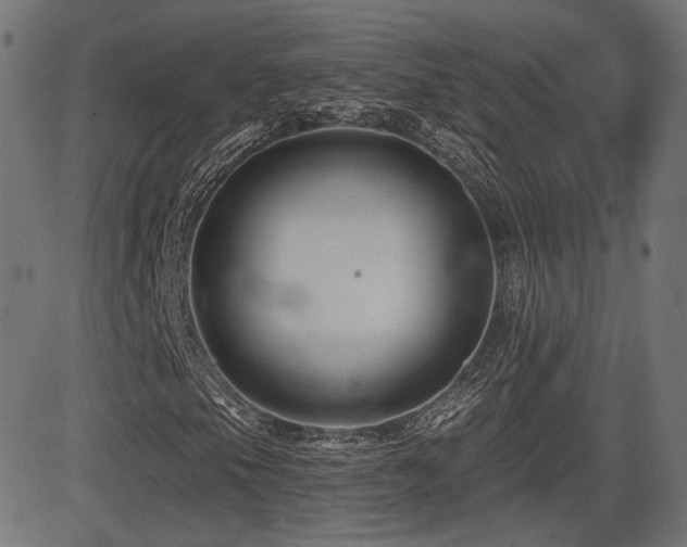 X0000081441105200701121159