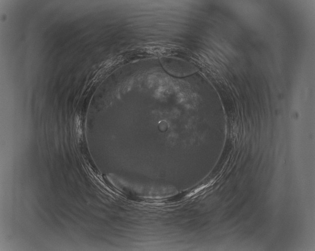 X0000081441106200701121159