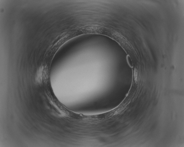 X0000081441107200701121159