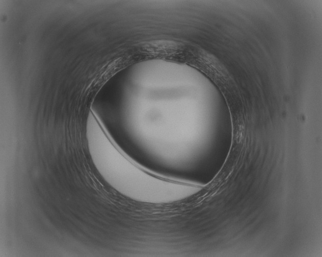 X0000081441108200701121159