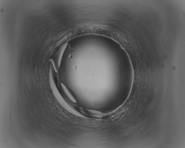 X0000081441109200701121159